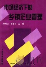 市场经济下的乡镇企业管理（1997 PDF版）