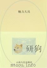 魅力大具（ PDF版）