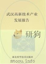 武汉高新技术产业发展报告（ PDF版）