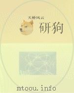 天桥风云（ PDF版）