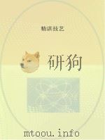 精湛技艺（ PDF版）