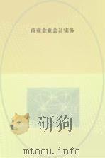 商业企业会计实务（ PDF版）