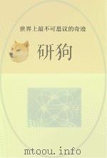 世界上最不可思议的奇迹（ PDF版）